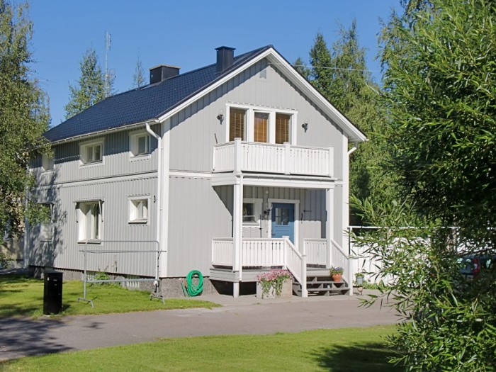 Swedish paint