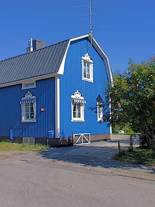 House with spruce planks