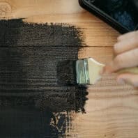 Moose S Swedish natural paint