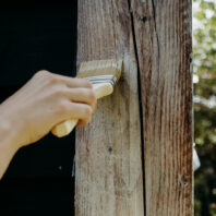 Skydd transparent wood stain