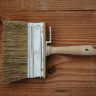 Moose Färg block brush