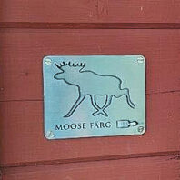 Moose Färg vignette for your project