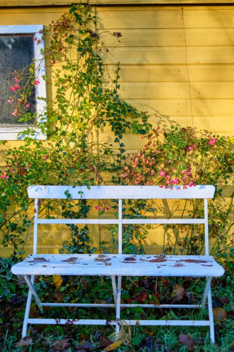 yellow garden house