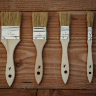Moose Färg brush set