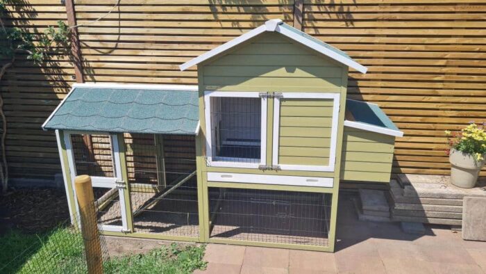 Painting chicken coop