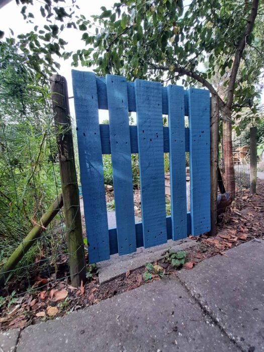 painting garden fence blue