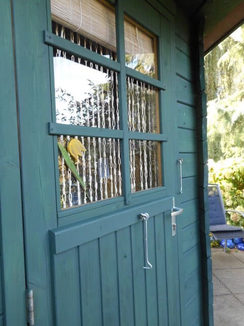 painting shed green