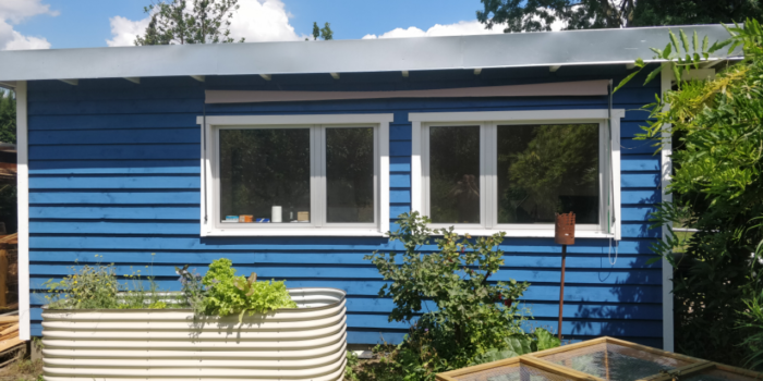 summer blue shed