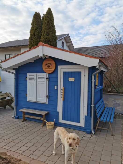 painting garden shed blue