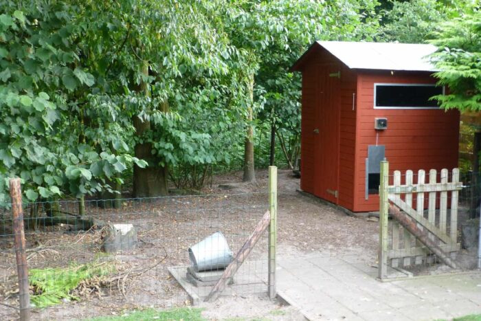 hen house paint