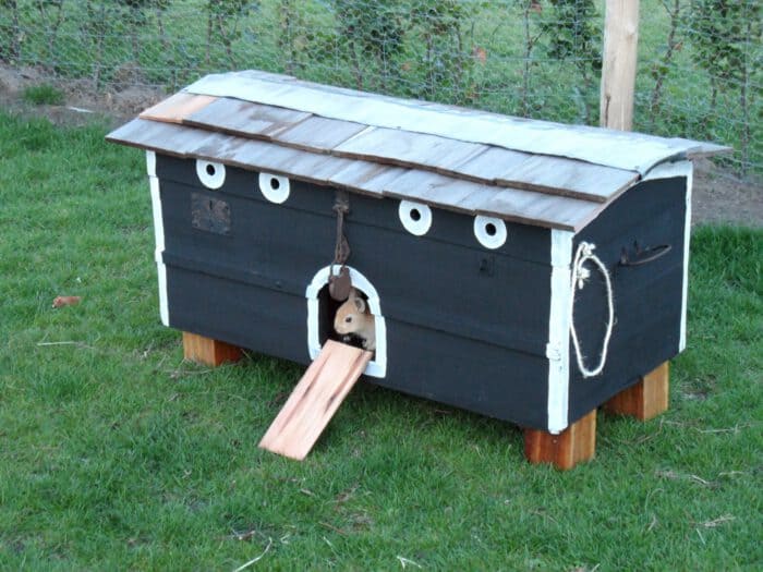 painting a rabbit house