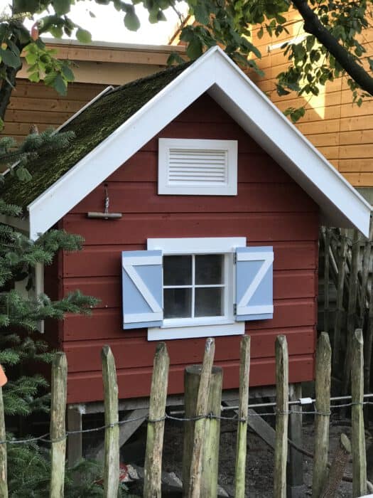 animal-friendly paint chicken coop