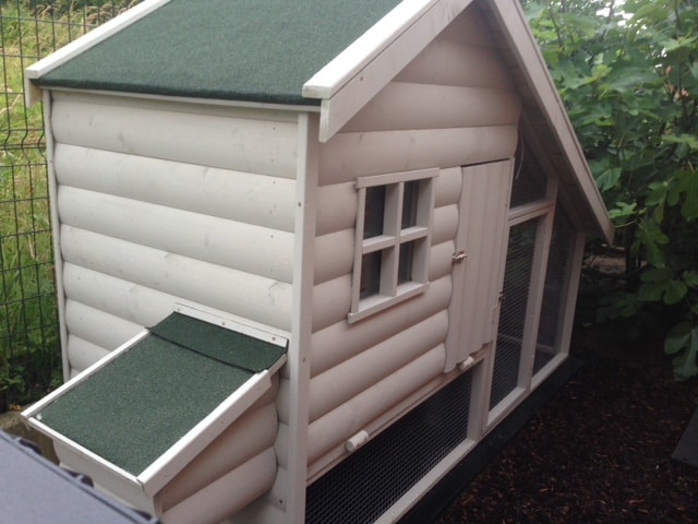 painting a chicken coop