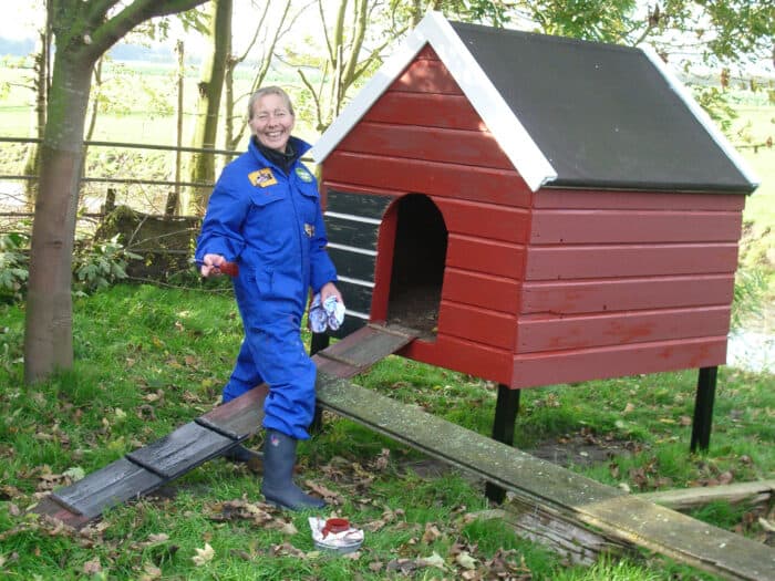 painting a chicken coop