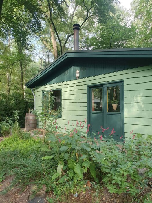 Green forest house