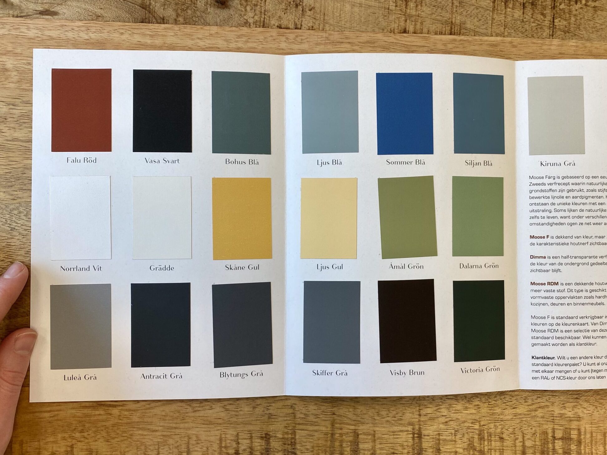 colour sample card moose färg