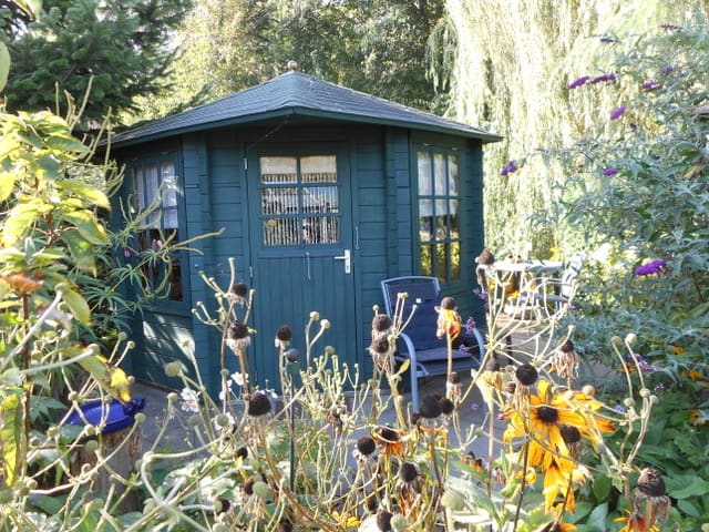 green shed made of pine wood